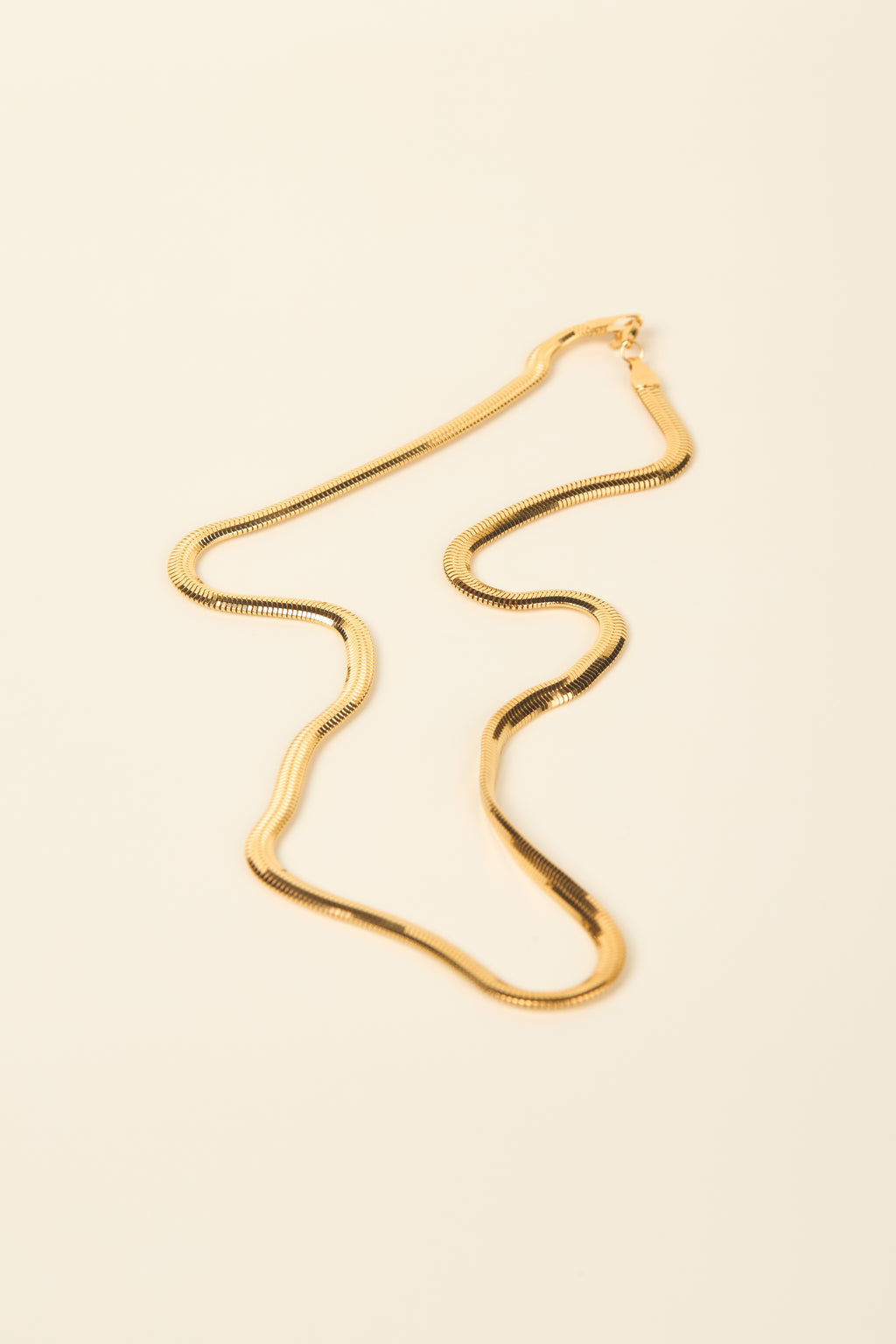 Snakey Chain + Extension