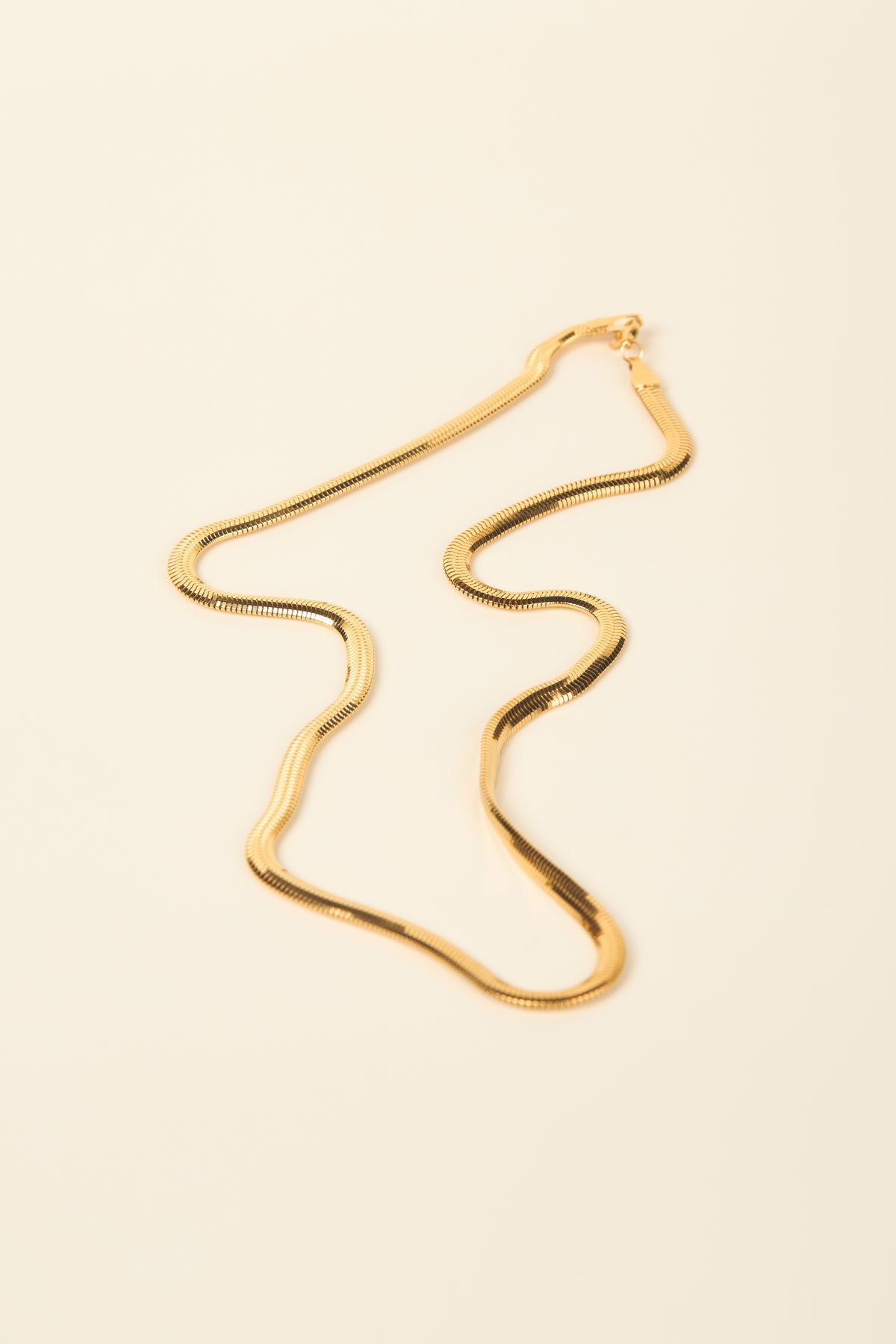 Snakey Chain + Extension